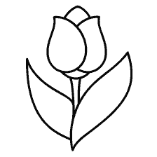 Tulip coloring for children