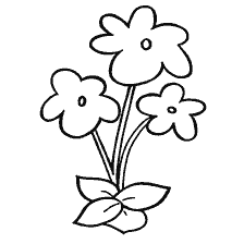 Coloring flowers