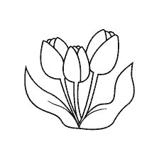 Black and white coloring of tulips with green leaves