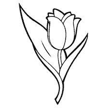 Coloring of the tulip flower in black and white