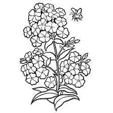 Black and white coloring of fluxes with bees