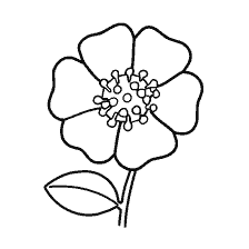 Kleurende bloemen voor kinderen