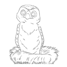 A drawing of a little hawk named Hannah from The Legend of the Beast