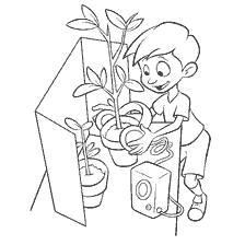A boy with plants and a musical speaker