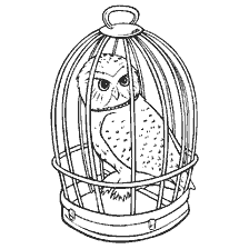 coloriage: Dessiner une chouette dans une cage pour colorer Harry Potter