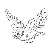 coloriage: Owl Beetle, un personnage de Harry Potter, en vol