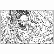 coloriage: Spider Aragogue de l'univers Harry Potter assis dans son repaire