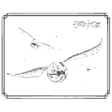 coloriage: Colorer le Snitch d'or du monde d'Harry Potter