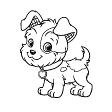 Terrier Cream genaamd Pitter Patch