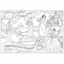Disney Prinses Kleuren met vier prinsesjes op de achterkant van het kasteel