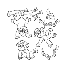 Monkeys play