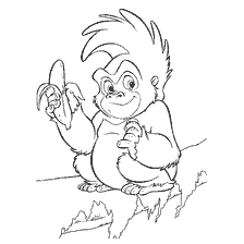 Monkey Turk