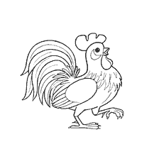 Picture Rooster for coloring