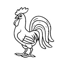 Rooster resim