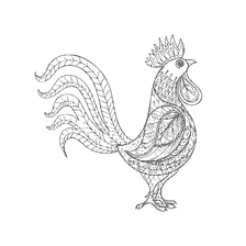 Rooster desenlerle renklendirme