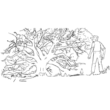 Illustrazione dell'albero dei sogni dalla fiaba Grande e buono gigante, con un albero enorme e un gigante