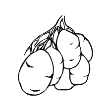 Verdure di pittura - tuberi di patate