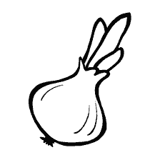 Disegno di cipolla colorato