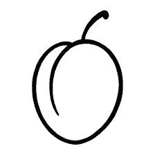 Apricot