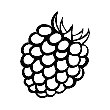 Zwart-witte frambozen kleuring