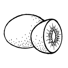 Kiwi schilderen in kleurboek