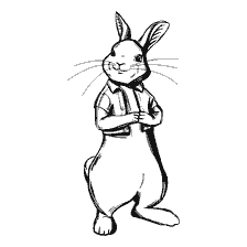 Peter Rabbit se klein sussie - Pixie