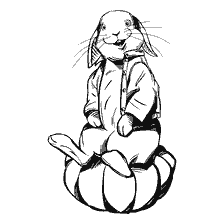 Peter Rabbit se neef