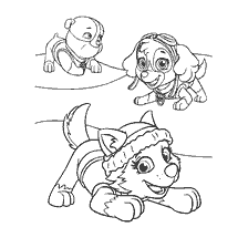 coloring page: Picture for coloring with the characters of the Puppy Patrol: Freak, Skye and Everest