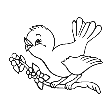 Coloration avec un oiseau sur une branche avec des fleurs