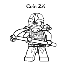 Ninja Cole