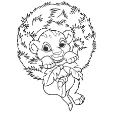 Simba in a Christmas wreath