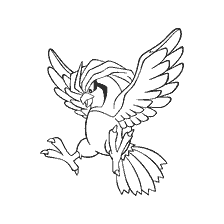 kolorowanka: Rysunek Pokemon Pigeotto do kolorowania