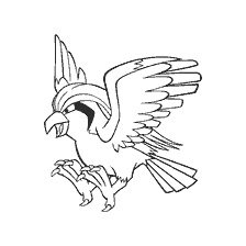 kolorowanka: Kolorowanki Pigeot, ewolucja Pokemon