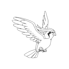 kolorowanka: Pokemon Pidgeot w locie