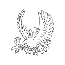 coloring page: Legendary Pokémon Ho-Oh for Coloring