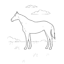 O cavalo é um livro de coloração