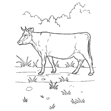 Colorear una vaca contra el fondo de la naturaleza