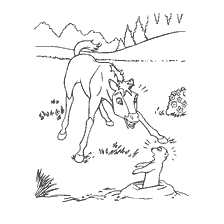 Foal and gopher in the coloring book Spirit: Lord of the Prairies