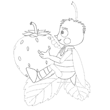 Bee with strawberries