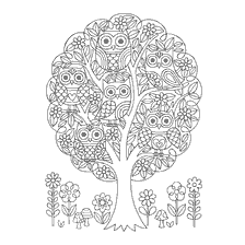 boyama sayfası: Yetişkinler için Renk: Owls on a tree