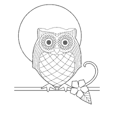 boyama sayfası: Bir owl resmi ile yetişkinler için renklendirme