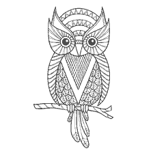 boyama sayfası: Yetişkinler için sevimli bir owl ile renklendirme