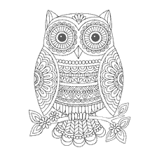 boyama sayfası: Bir dalda renkli owl anti-stress