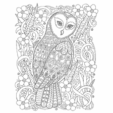 boyama sayfası: Yetişkin renkli kitap: Çiçekler arasında Polar owl