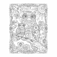 boyama sayfası: Anti-stress bir owl ve owl ile renkli