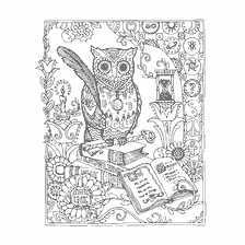 boyama sayfası: Owls ve kitaplarla yetişkinler için renklendirme