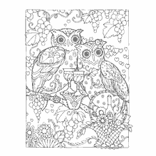 boyama sayfası: Owls ve dekoratif elementlerle yetişkinler için renklendirme