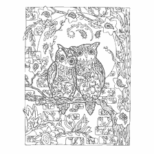 boyama sayfası: Yetişkinler için renklendirme anti-stress Owl Love