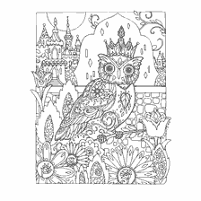 boyama sayfası: Yetişkinler için Renk: West of Owls with architecture and flowers