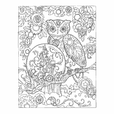 boyama sayfası: Yetişkinler için Renk: Owl ve sihirli top
